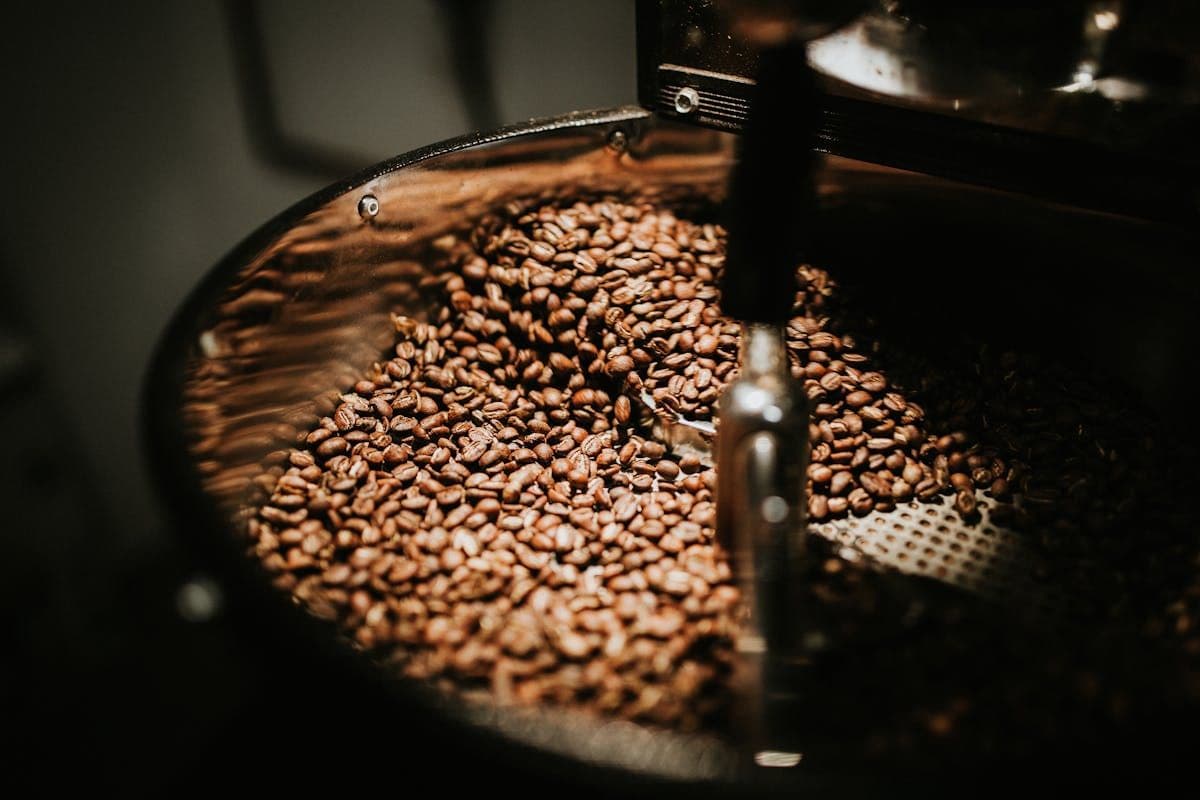 Cupping Notes: July Arrivals