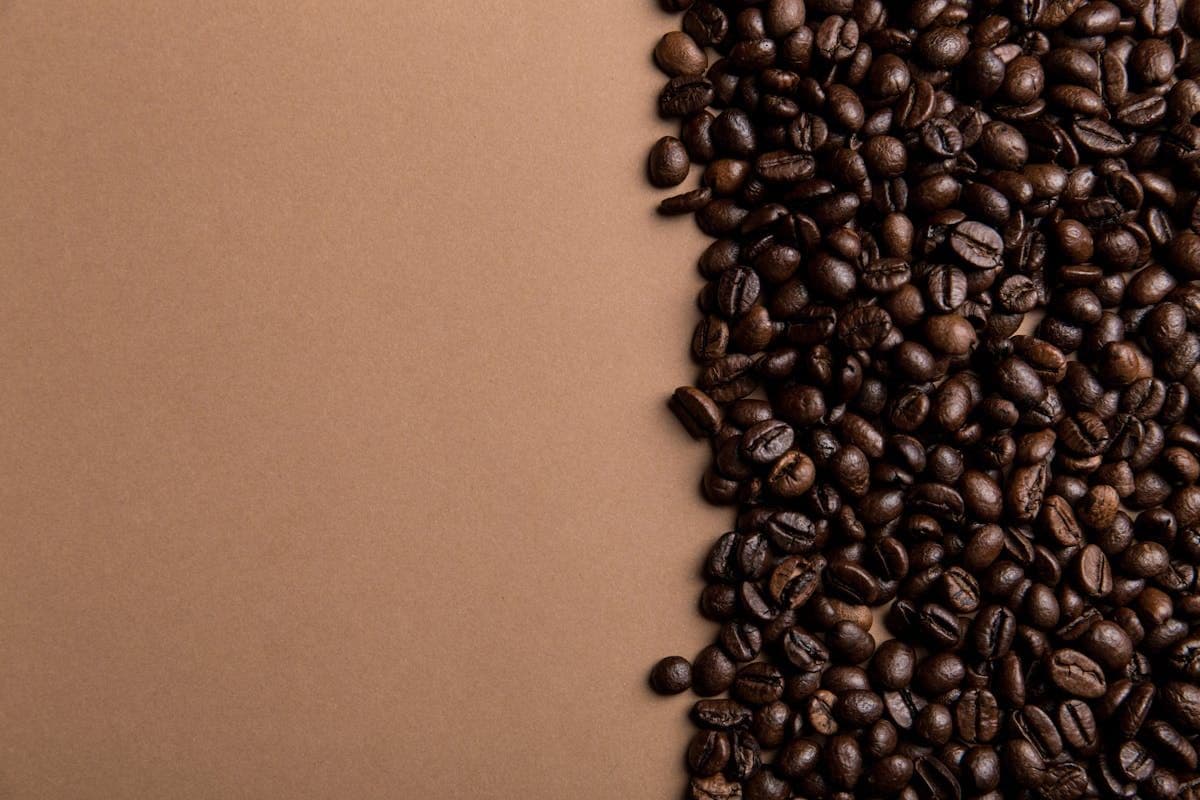 The French Press Is Underrated